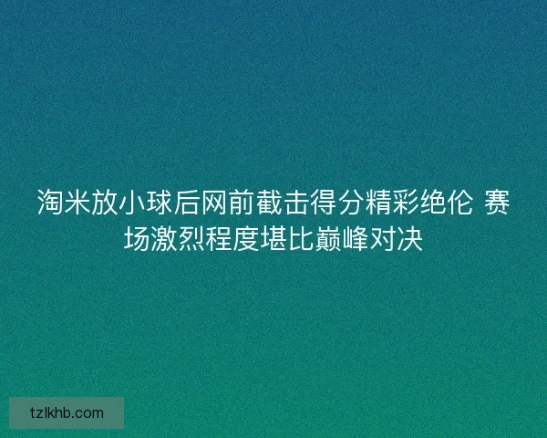 淘米放小球后网前截击得分精彩绝伦 赛场激烈程度堪比巅峰对决