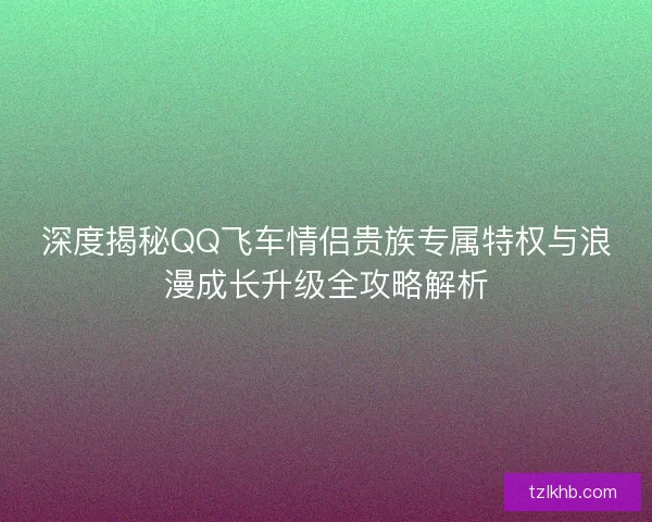 深度揭秘QQ飞车情侣贵族专属特权与浪漫成长升级全攻略解析